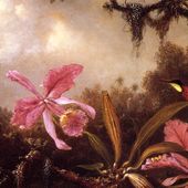 Peindre les orchidées
