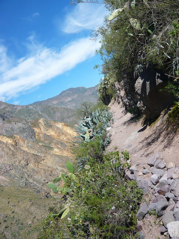 Album - arequipa