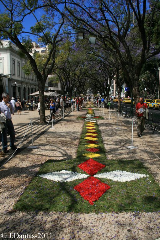 Madere-Funchal,c'est dans cette ville capitale de l'isle que se realise tous les ans la fete de la fleur,cette année c'etait du 5 au 8 Mai et j'y etait,voici quelques images