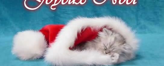 Joyeux Noël !