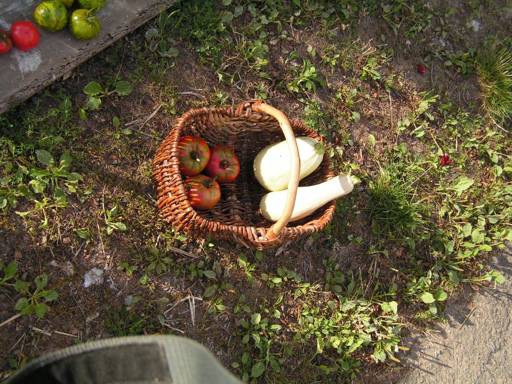 qu'il est bon et ressourçant de mettre les mains en terre et d'admirer la nature.... Abusez de ces grands bonheurs!!!!