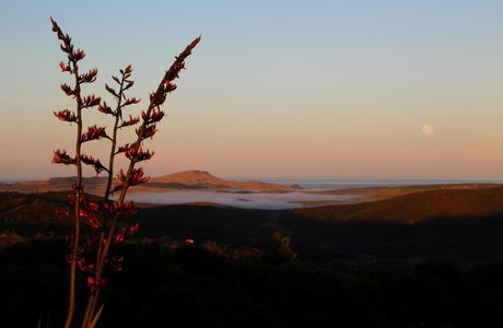 Cape Reinga