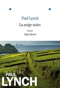 Albin Michel 2015 - 300 pages - traduit de l'anglais (Irlande) par Marina Boraso