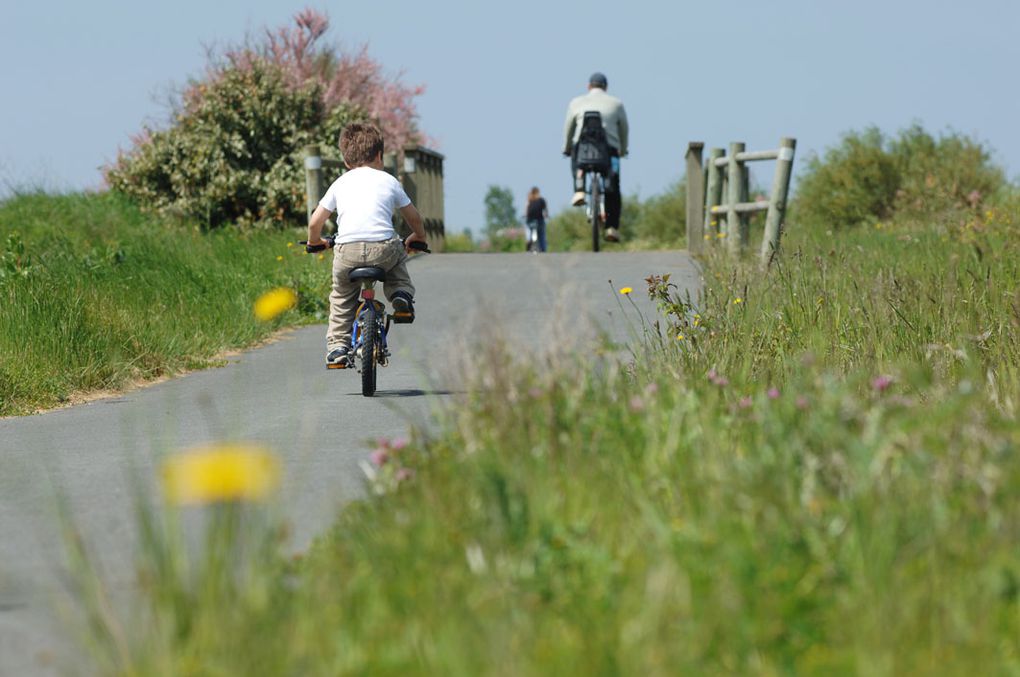 Quelques photos des alentours,des pistes cyclables environnantes, au marais poitevin, en passant par les Sables d'Olonne!