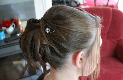 Chignon liss'