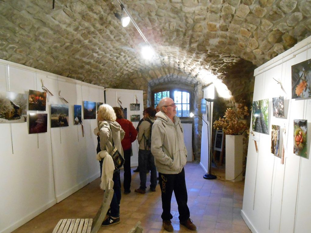 Les expositions de la salle Vincentis ont attiré un nombreux public (plus de 350 personnes dimanche)