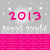 BONNE ANNEE 2013 !