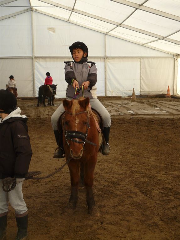 L'EQUITATION au Multisports