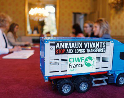 Remise de la pétition contre les transports d'animaux vivants