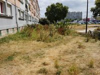 Ma marche de Pierrefitte : Quartier des Joncherolles 1