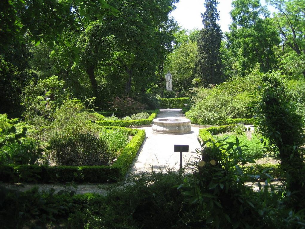 Visite en photos du magnifique jardin botanique situé en plein centre de Madrid juste à côté du musée du Prado.