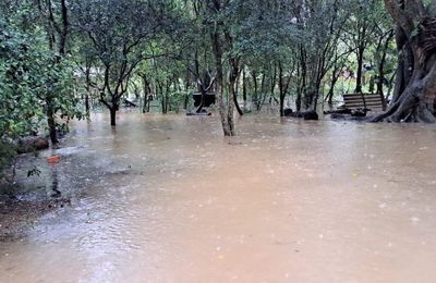 Brésil : Les inondations dans le Rio Grande do Sul affectent 30 000 indigènes ; une entité signale une « pénurie d'eau et de nourriture »