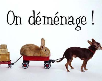 Griottine déménage!