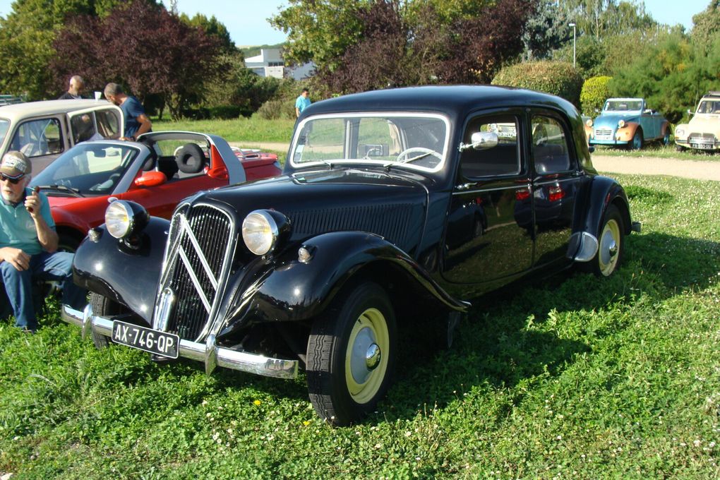 &quot;Les Belles Du Vert Galant chez Truffaut Villeparisis
