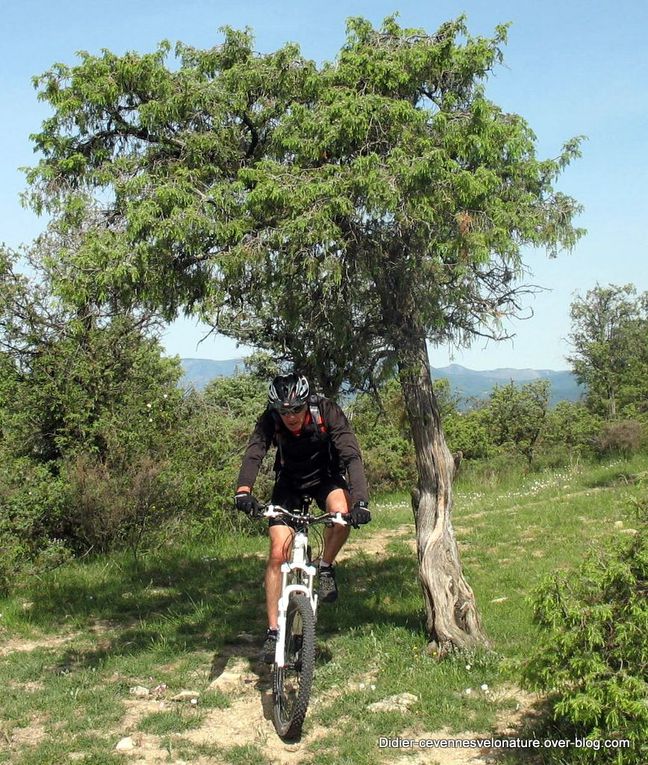 Album - Sorties Cévennes Vélo Nature en 2012