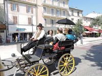 Cavaillon, la féria du melon  (1/2)