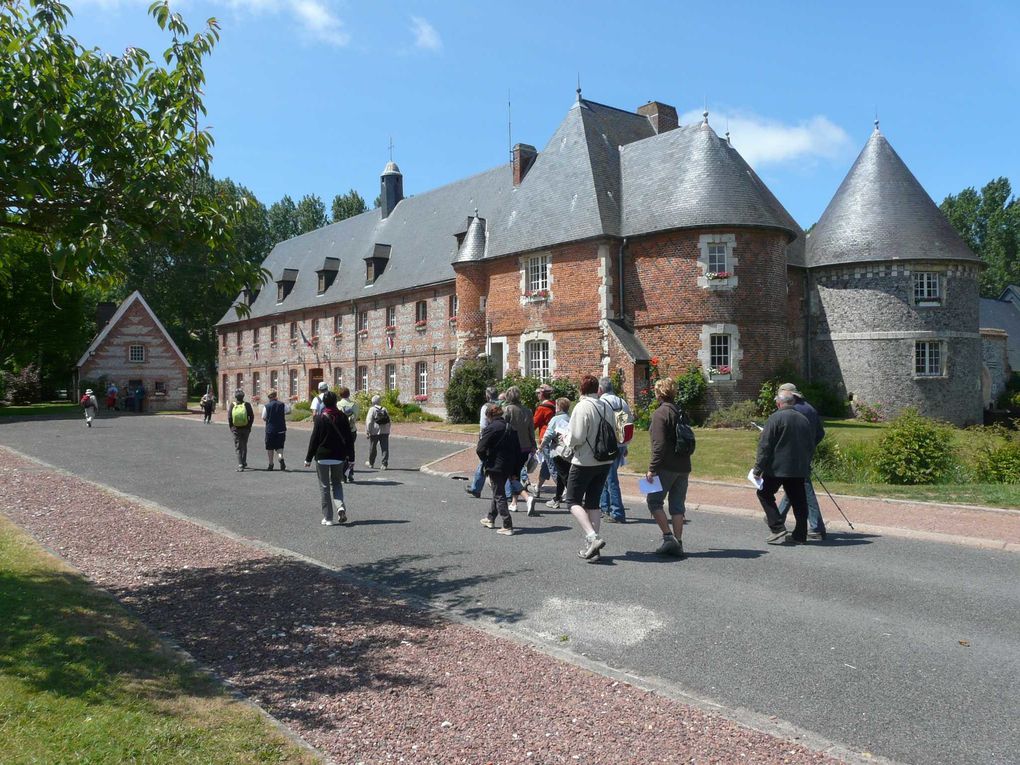 Marche "Le Mont Joli Bois" à partir de Criel sur Mer