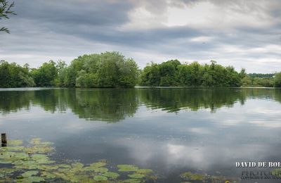 Sortie Ornitho du 29 Mai 2015 - Viry-Châtillon / Draveil