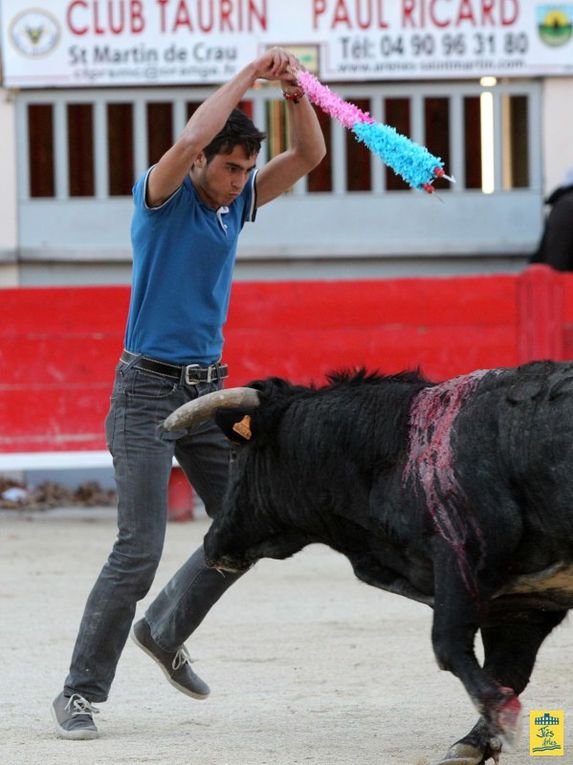 St-Martin-de-Crau Samedi 8 octobre 1011 Journée du Revivre de la Feria de la Crau Tienta de macho et de vacas et Lidia de 4 toros Ganaderias : Giraud-Malaga-Yonnet