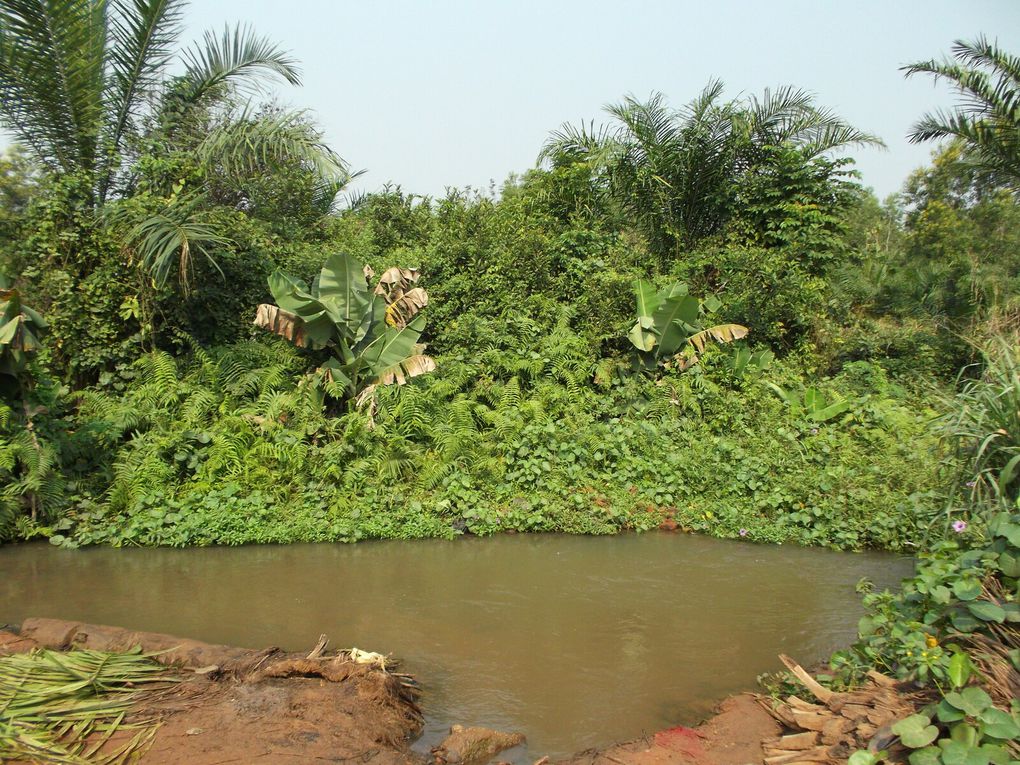 le site de AMAHOUE propice à la pisciculture(puits artésien) sur la commune de DJAKOTOMEY