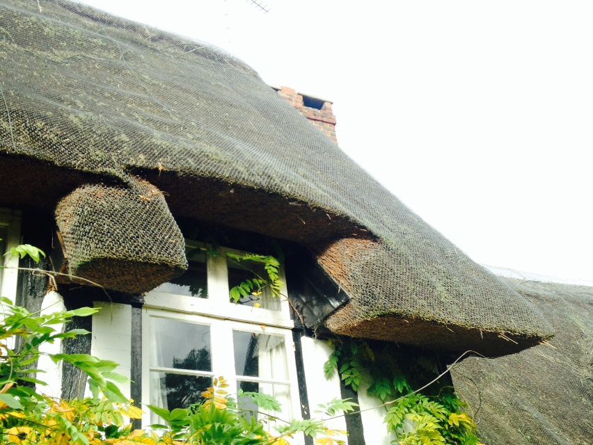 Apprendre à mieux se nourrir, dans un vrai cottage anglais