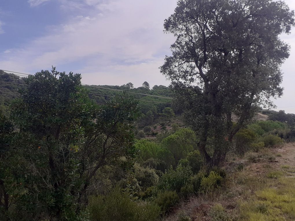 Sortie Col du Canadel