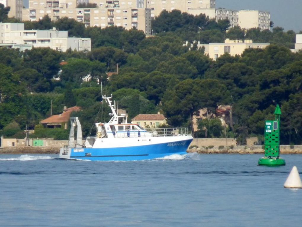 ANTEDON II , Navire océanographique cotier