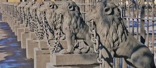La faune de Saint-Pétersbourg (2)