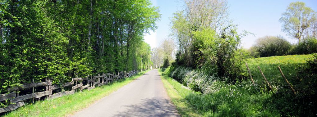 balades en vélo