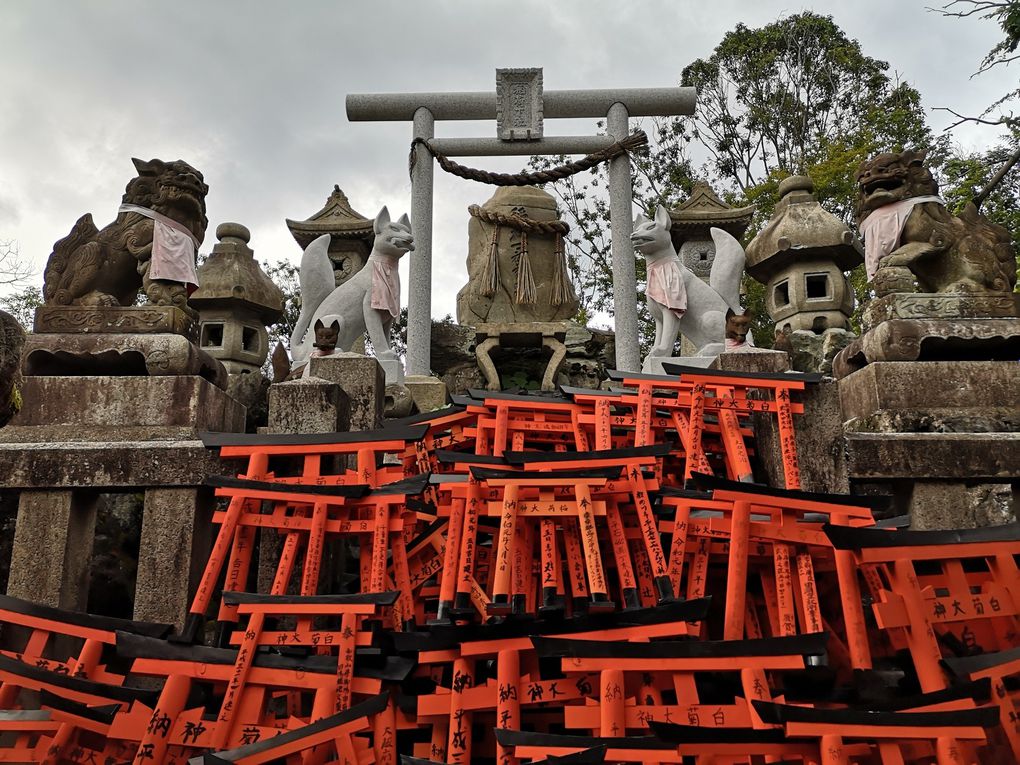 Les fameux torii oranges par milliers dans le sanctuaire shintoiste de fushimi Inari taisha