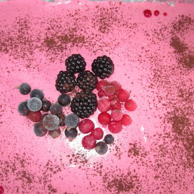 Bavarois framboise chocolat blanc!