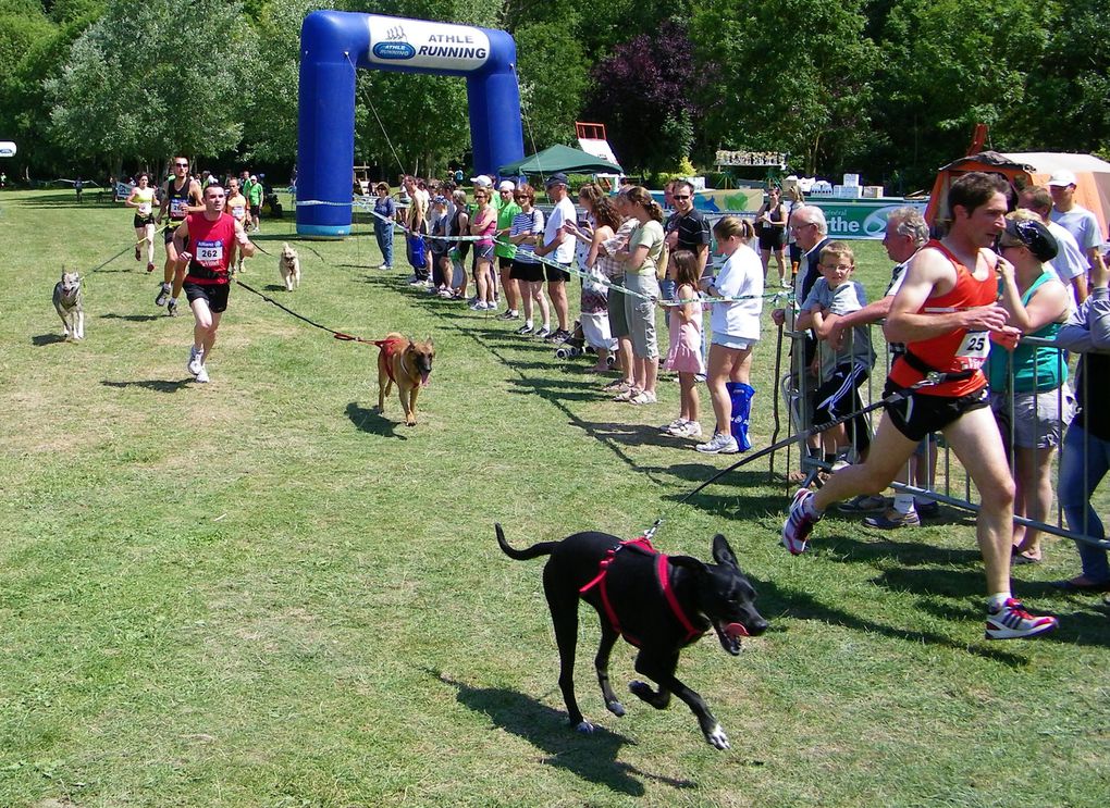 4ème Canicross des Alpes Mancelles 5 Km