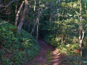 Montaclier / Gorges d' Enval.