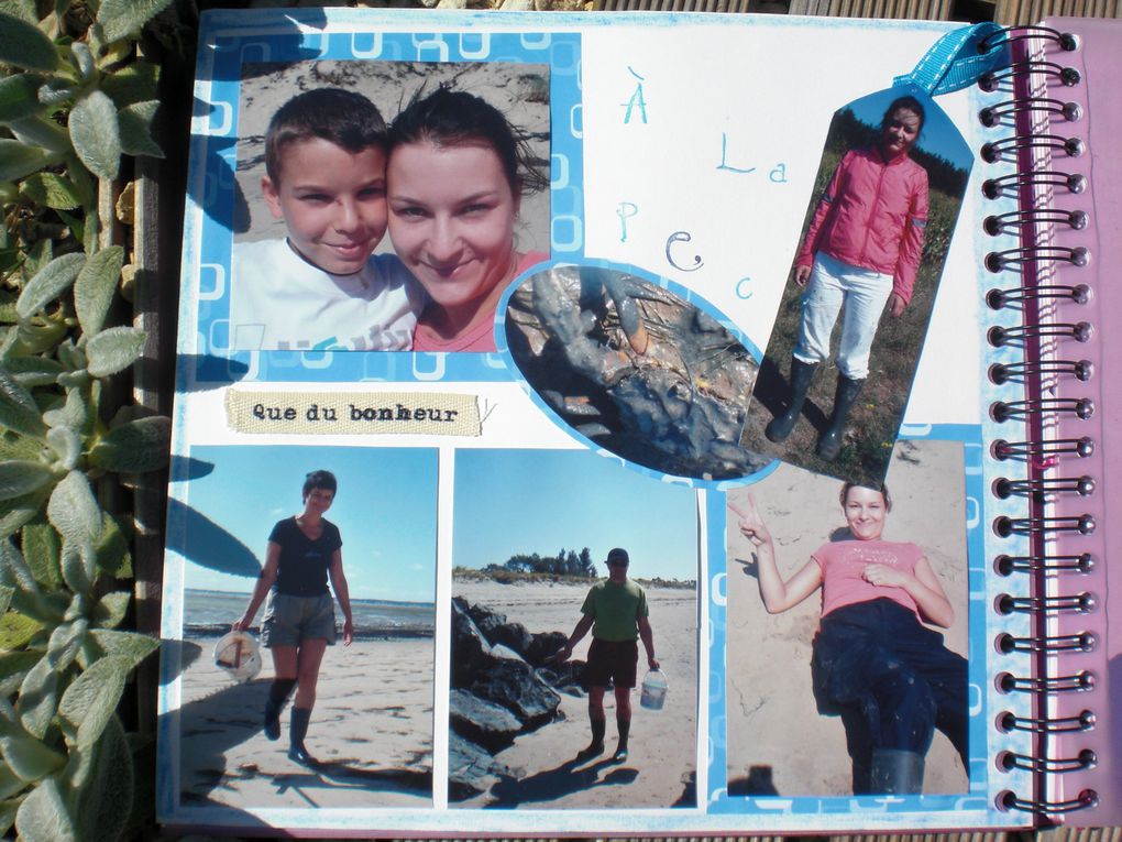 Album - Scrapbooking