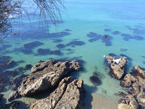 A batemans Bay, allez vite réserver votre chambre au Bayside Motel. Rex and Rose vous accueilleront très gentiment, dans une chambre douillette, avec un verre de vin blanc bien frais! Après la route, il n'y a pas mieux! Le lendemain, balade sur la côte découpée, là où la mer est transparente...