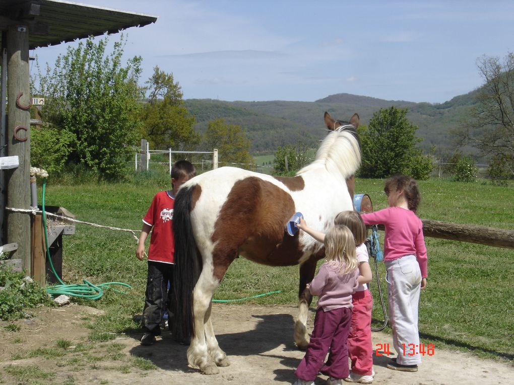 Album - ALSH-paques-sortie-cheval-2008