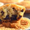 Muffins Moelleux Vanille & Pépites de Chocolat
