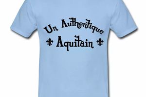 T Shirt Aquitaine bleu c homme Authentique Aquitain