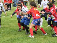 tournoi U7: une réussite