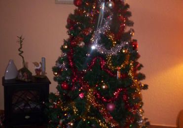 Mon beau sapin!!!!