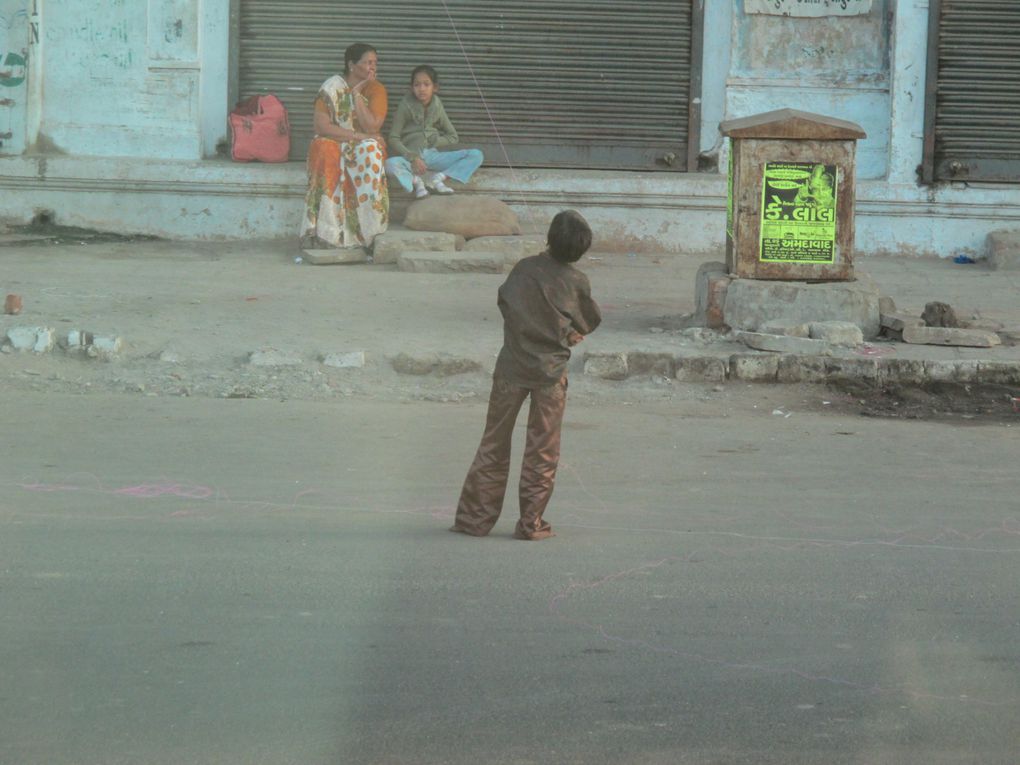 Album - Ahmedabad-Makar-Sankranti-2011