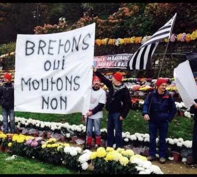 Les Glochos - Bonnets rouge