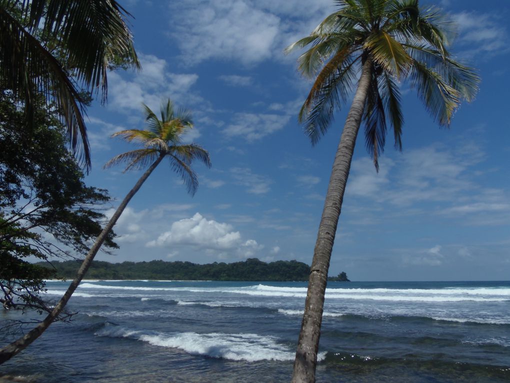 Panama city / San Blas / Isla Bastimentos