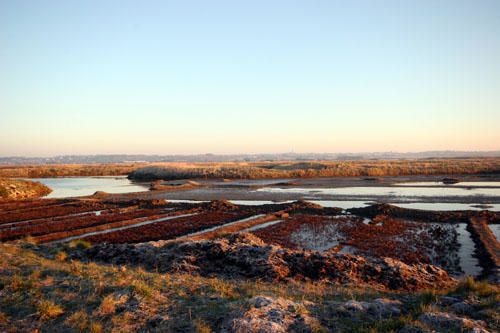 Images des marais salants de Gu&eacute;rande&nbsp;au lever du soleil