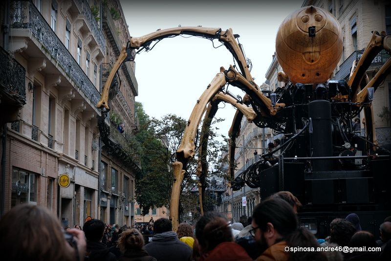 Toulouse : un opéra urbain en quatre actes...Le Gardien du Temple