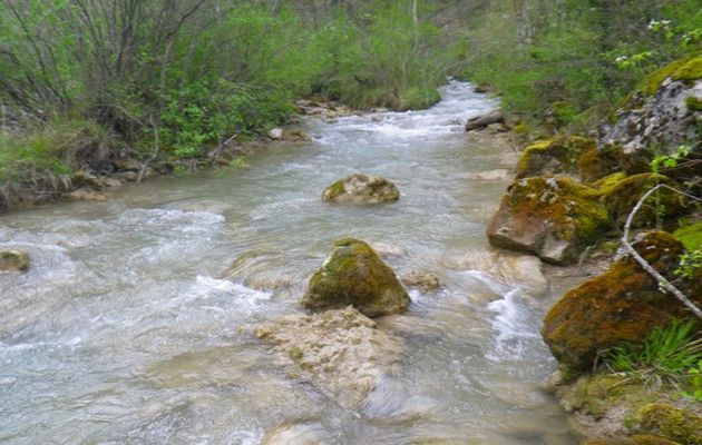 Les rivières du mardi