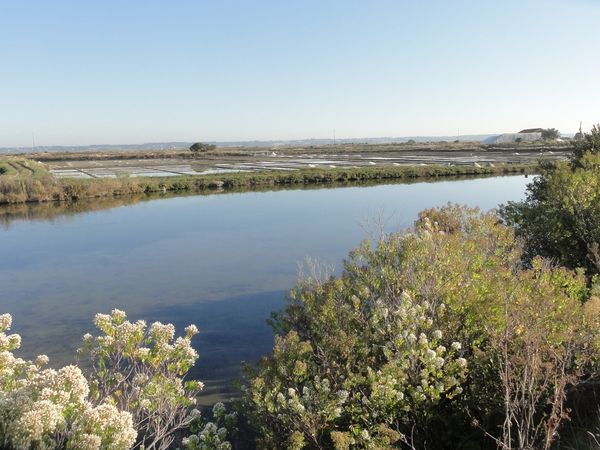 Une journée à Batz sur mer et au Croisic