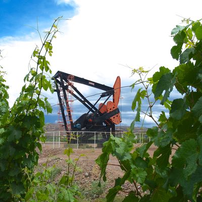 Argentine : Mendoza, production de vin et de pétrole.