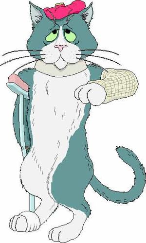 Je Suis Malade Desolee Le Blog De La Vieille Aux Chats