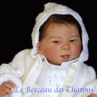 SOLENE du kit numéroté Cathy d'Olga Auer